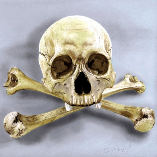 skull crossbones